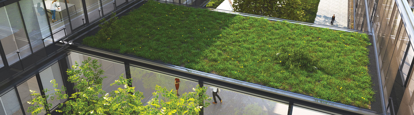 GreenRoofMain
